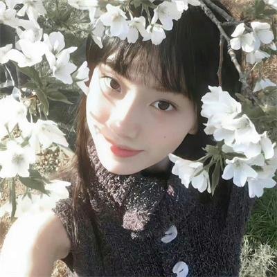 风花
